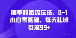 简单的截流玩法，0-1小白零基础，每天私域引流99+【揭秘】-水滴知识网