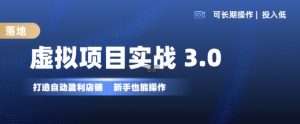 虚拟项目实战3.0，打造自动盈利店铺，可长期操作投入低，新手也能操作-水滴知识网