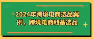 2024年跨境电商选品案例,跨境电商利基选品(更新11月)-水滴知识网