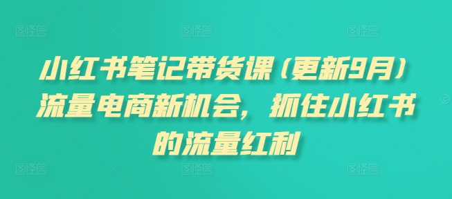 小红书笔记带货课(更新11月)流量电商新机会,抓住小红书的流量红利-水滴知识网