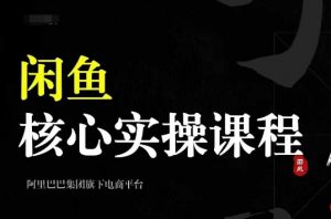 2024闲鱼核心实操课程，从养号、选品、发布、销售，教你做一个出单的闲鱼号-水滴知识网
