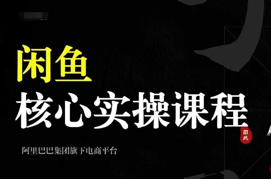 2024闲鱼核心实操课程，从养号、选品、发布、销售，教你做一个出单的闲鱼号-水滴知识网