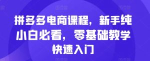 拼多多电商课程,新手纯小白必看,零基础教学快速入门-水滴知识网