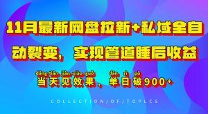 11月最新网盘拉新+私域全自动裂变，实现管道睡后收益，当天见效果，单日破900+-水滴知识网
