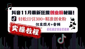 抖音11月最新狂揽创业粉秘籍,轻松日引300+精准创业粉,仅需图片+音频,轻松搞定创业类视频-水滴知识网