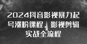 2024抖音影视暴力起号涨粉课程,影视剪辑搬运实战全流程-水滴知识网