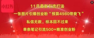 小红书11月最新图片打粉,一张图片引爆创业粉,“预算4980带我飞”,单条引流500+精准创业粉-水滴知识网