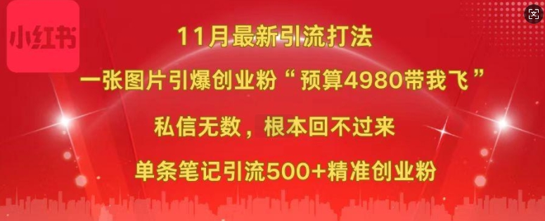 小红书11月最新图片打粉,一张图片引爆创业粉,“预算4980带我飞”,单条引流500+精准创业粉-水滴知识网