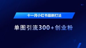 十一月小红书最新打法,单图引流300+创业粉【揭秘】-水滴知识网