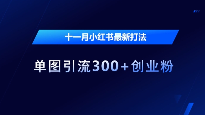 十一月小红书最新打法,单图引流300+创业粉【揭秘】-水滴知识网
