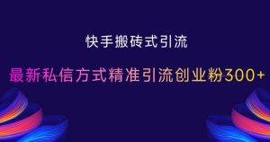 快手搬砖式引流，最新私信方式精准引流创业粉300+-水滴知识网