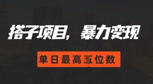 2024搭子玩法,0门槛,暴力变现,单日最高破四位数【揭秘】-水滴知识网