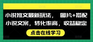 小说推文最新玩法, 图片+搭配小说文案,转化率高,收益稳定-水滴知识网