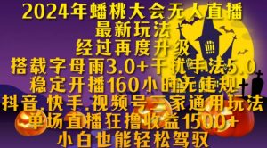 2024年蟠桃大会无人直播最新玩法,稳定开播160小时无违规,抖音、快手、视频号三家通用玩法【揭秘】-水滴知识网