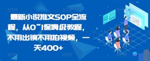 最新小说推文SOP全流程,从0~1保姆级教程,不用出镜不用拍视频,一天400+-水滴知识网
