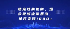 萌宠炒菜视频,爆款视频流量暴涨,单日变现1k-水滴知识网