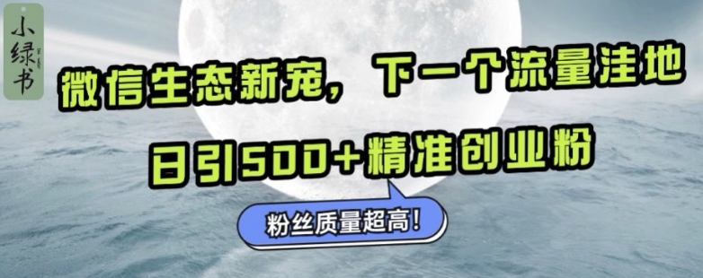 微信生态新宠小绿书:下一个流量洼地,日引500+精准创业粉,粉丝质量超高-水滴知识网