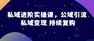 私域进阶实操课,公域引流 私域变现 持续复购-水滴知识网