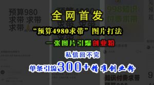 小红书“预算4980带我飞”图片打法,一张图片引爆创业粉,私信回不完,单条引流300+精准创业粉-水滴知识网