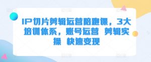 IP切片剪辑运营陪跑课,3大培训体系,账号运营 剪辑实操 快速变现-水滴知识网