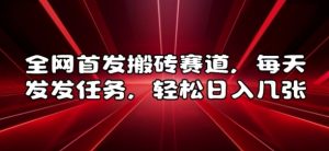 全网首发搬砖赛道，每天发发任务，轻松日入几张【揭秘】-水滴知识网