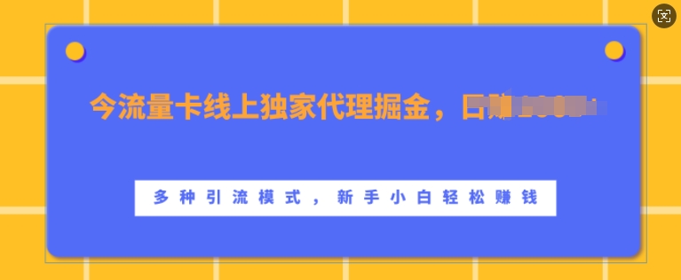 流量卡线上独家代理掘金，日入1k+ ，多种引流模式，新手小白轻松上手【揭秘】-水滴知识网
