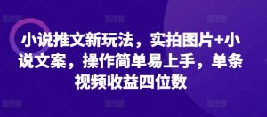 小说推文新玩法,实拍图片+小说文案,操作简单易上手,单条视频收益四位数-水滴知识网