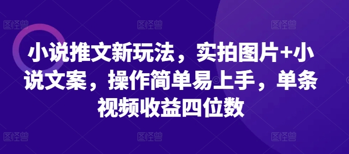 小说推文新玩法,实拍图片+小说文案,操作简单易上手,单条视频收益四位数-水滴知识网