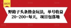 野路子头条撸金玩法，单号收益20~200+每天，项目包落地-水滴知识网