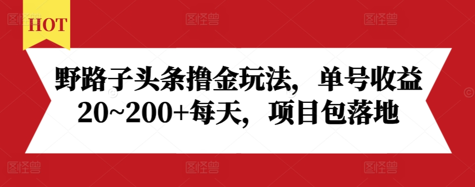 野路子头条撸金玩法,单号收益20~200+每天,项目包落地-水滴知识网