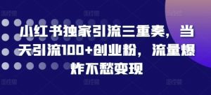小红书独家引流三重奏，当天引流100+创业粉，流量爆炸不愁变现【揭秘】-水滴知识网