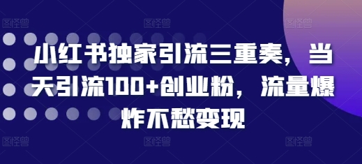 小红书独家引流三重奏,当天引流100+创业粉,流量爆炸不愁变现【揭秘】-水滴知识网