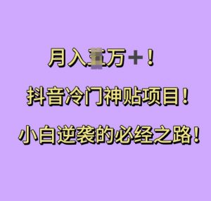 抖音冷门神贴项目,小白逆袭的必经之路,月入过W【揭秘】-水滴知识网