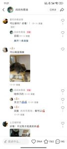 小红书私人定制图项目,附赠一单4W渠道【揭秘】-水滴知识网