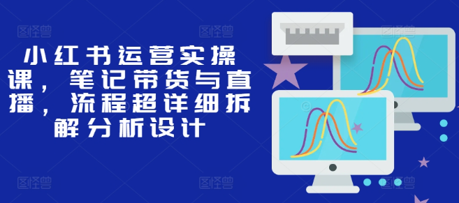 小红书运营实操课,笔记带货与直播,流程超详细拆解分析设计-水滴知识网