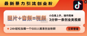 抖音最新暴力引流创业粉,3分钟一条创业类视频,24h轻松加爆一个500人精准创业粉群【揭秘】-水滴知识网