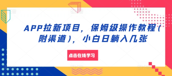 APP拉新项目,保姆级操作教程(附渠道),小白日躺入几张【揭秘】-水滴知识网