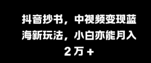 抖音抄书，中视频变现蓝海新玩法，小白亦能月入 过W【揭秘】-水滴知识网