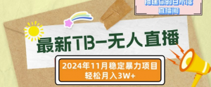 【最新TB-无人直播】11月最新，打造你的日不落直播间，轻松月入过W【揭秘】-水滴知识网