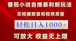 番茄小说自撸暴利新玩法，无视播放量，轻松日入1k，可放大，收益无上限【揭秘】-水滴知识网
