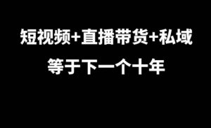 短视频+直播带货+私域等于下一个十年,大佬7年实战经验总结-水滴知识网