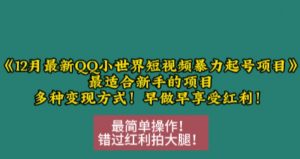 12月最新QQ小世界短视频暴力起号项目,最适合新手的项目,多种变现方式-水滴知识网