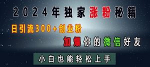 2024年独家涨粉秘籍,日引流300+创业粉,加爆你的微信好友,小白也能轻松上手-水滴知识网