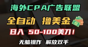 海外CPA全自动撸美金, 日入100+美刀，无脑操作，解放双手【揭秘】-水滴知识网