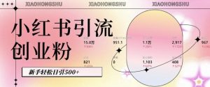 小红书私域引流无脑操作法:AI生成内容,粉丝自动转化,新手轻松日引500+创业粉-水滴知识网