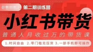 小Red书带货42天训练营 2.0版,宝妈+自由职+上班族+大学生,提高副业收入的大红利项目-水滴知识网