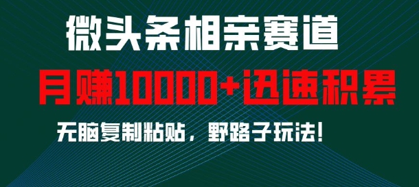 微头条相亲赛道,迅速积累,无脑复制粘贴,野路子玩法,月入1w-水滴知识网