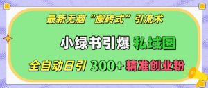 最新无脑“搬砖式”引流术,小绿书引爆私域圈,全自动日引300+精准创业粉【揭秘】-水滴知识网