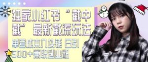 最新小红书截流玩法 独家截中截 单号成本几块钱 日引500+CY粉JZ粉-水滴知识网