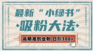最新自动化“吸粉术”,小绿书激活私域流量,每日轻松吸引300+高质精准粉!-水滴知识网